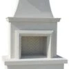 American Fyre Designs Vented Contractor's Fireplace With Moulding