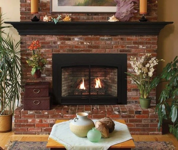 Empire 28 Inch Innsbrook Direct Vent Gas Fireplace Insert- Millivolt Pilot