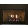 Empire 28 Inch Innsbrook Vent Free Gas Fireplace Insert/Fireplace- Millivolt Pilot (Modern)