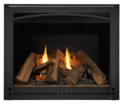 Majestic 36 Inch Meridian Gas Direct Vent Fireplace