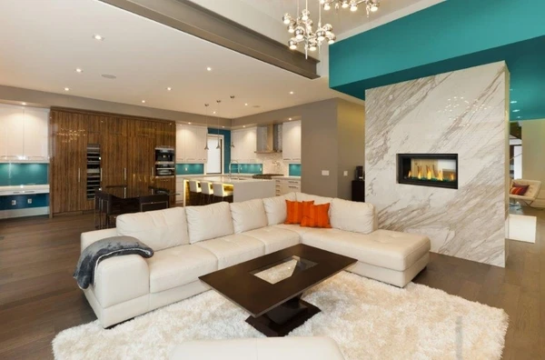 Napoleon 38' See-Thru Vector Series Direct Vent Gas Fireplace - Electronic Ignition - Image 2