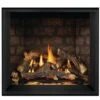 Napoleon 42 Inch Elevation X Direct Vent Propane Gas Fireplace