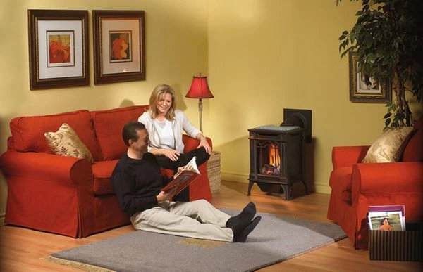 Napoleon 19 Inch Arlington Direct Vent Gas Heating Stove (Small)