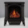 Napoleon 23 Inch Bayfield Direct Vent Gas Heating Stove