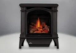 Napoleon 23 Inch Bayfield Direct Vent Gas Heating Stove
