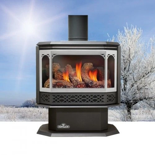 Napoleon 28 Inch Havelock Direct Vent B Vent Gas Heating Stove