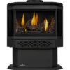 Napoleon Haliburton Direct Vent Gas Heating Stove - Millivolt (Small)