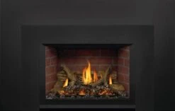Napoleon 29 Inch Oakville X3 Direct Vent Gas Fireplace Insert (Modern)