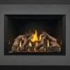 Napoleon 34 Inch Oakville X4 Direct Vent Gas Fireplace Insert (Modern)