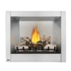 Napoleon Riverside 36 Clean Face Outdoor Natural Gas Fireplace
