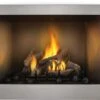 Napoleon Riverside Series 42' Clean Face Outdoor Stainless Steel Gas Fireplace - GSS42CFN