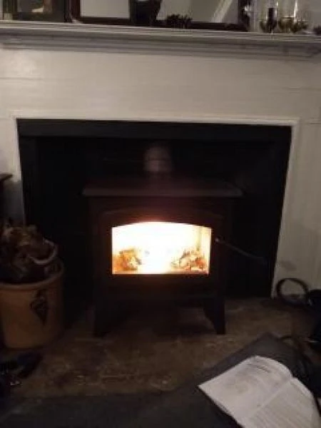 Napoleon Timberwolf Economizer 2200 Wood Burning Stove - Image 2