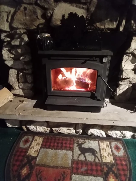 Napoleon Timberwolf Economizer Wood Fireplace Insert - EPI22 - Image 2