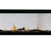 Sierra Flame 48' Emerson Series See-Thru Slim Linear Fireplace