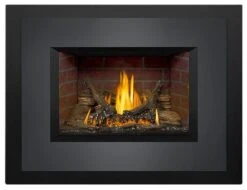 Napoleon Timberwolf 29 Inch TDI3 Natural Gas Fireplace Insert With Logs - Millivolt (Modern)
