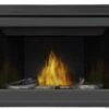 Napoleon Timberwolf 42 Inch TB42 Direct Vent Natural Gas Fireplace - IPI