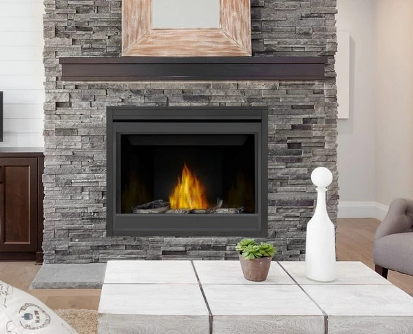 Napoleon Timberwolf 42 Inch TB42 Direct Vent Natural Gas Fireplace - IPI - Image 2